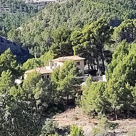 Finca Caracol Bolulla Kültér fotó