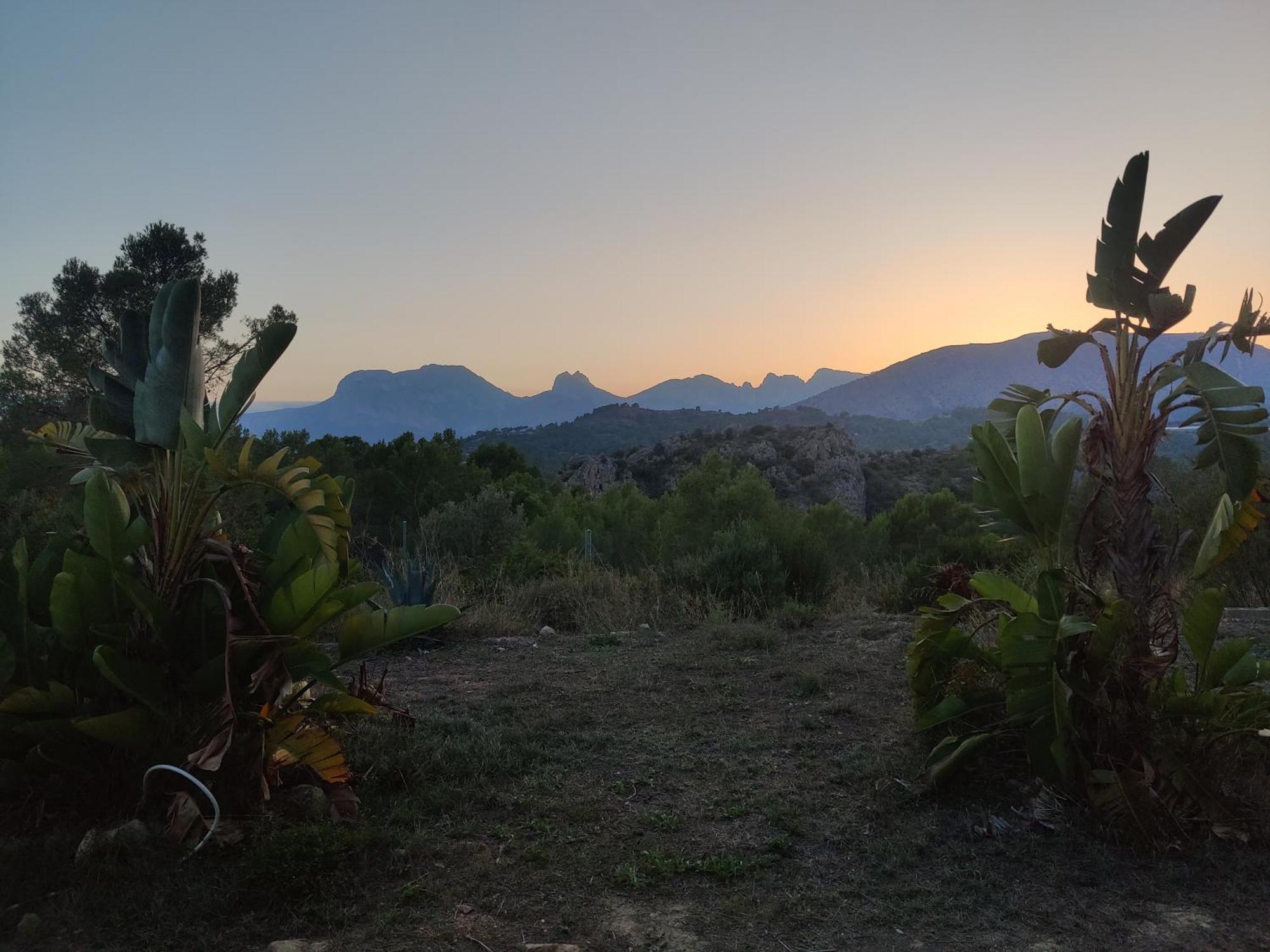 Finca Caracol Bolulla Kültér fotó