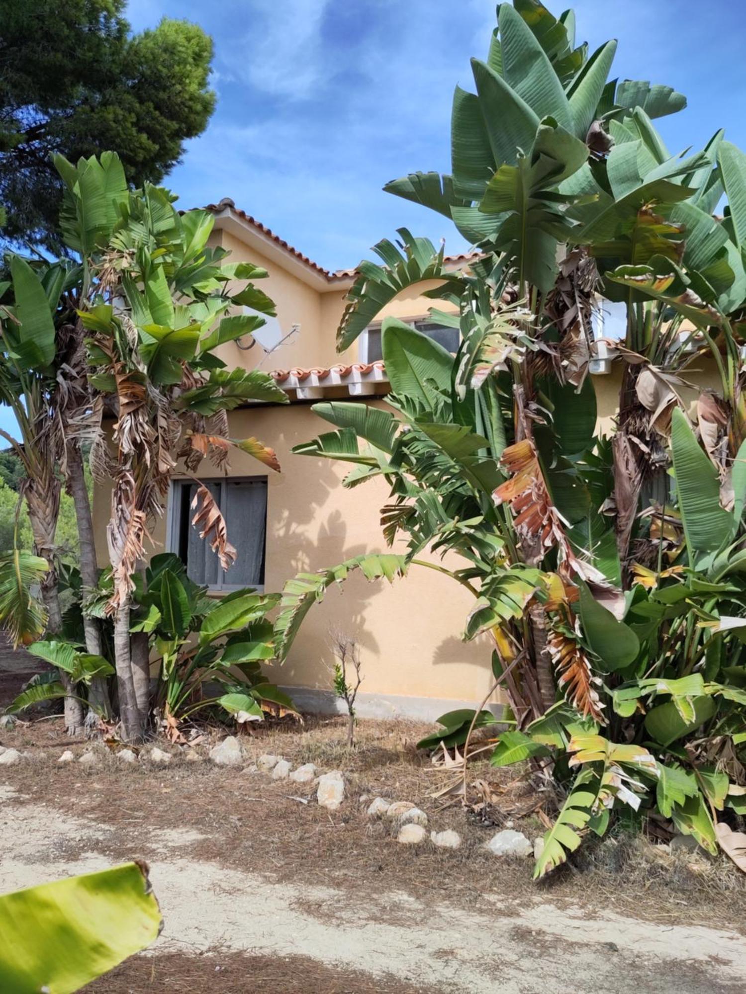 Finca Caracol Bolulla Kültér fotó